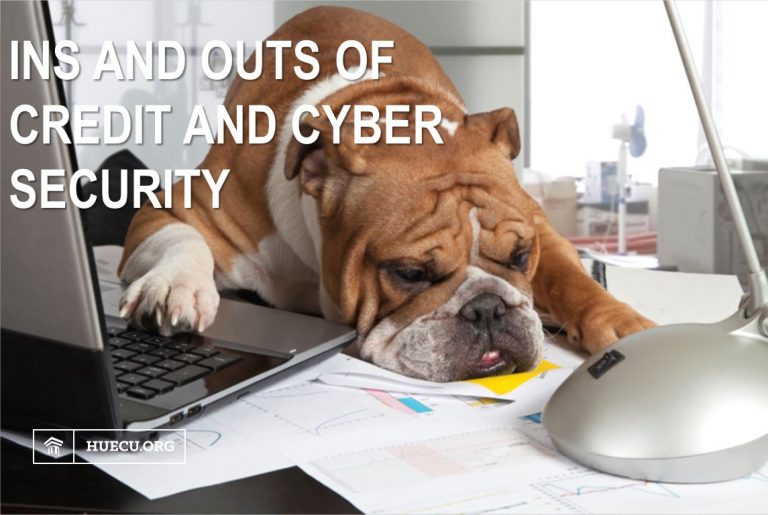 Ins and Outs of Credit and Cyber Security